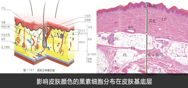 婴幼儿白癜风该如何治疗(zhiliao)