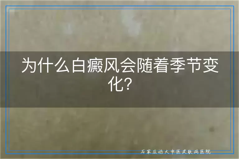为什么白癜风会随着季节变化？
