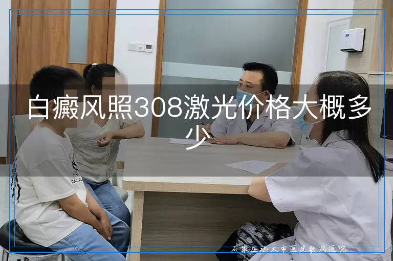 白癜风照308激光价格大概多少