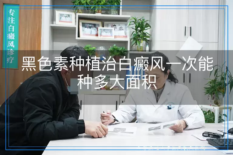 黑色素种植治白癜风一次能种多大面积