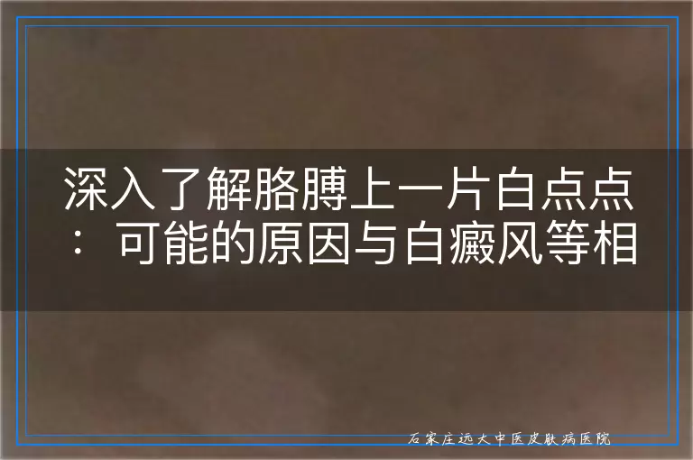深入了解胳膊上一片白点点：可能的原因与白癜风等相关知识点的探讨