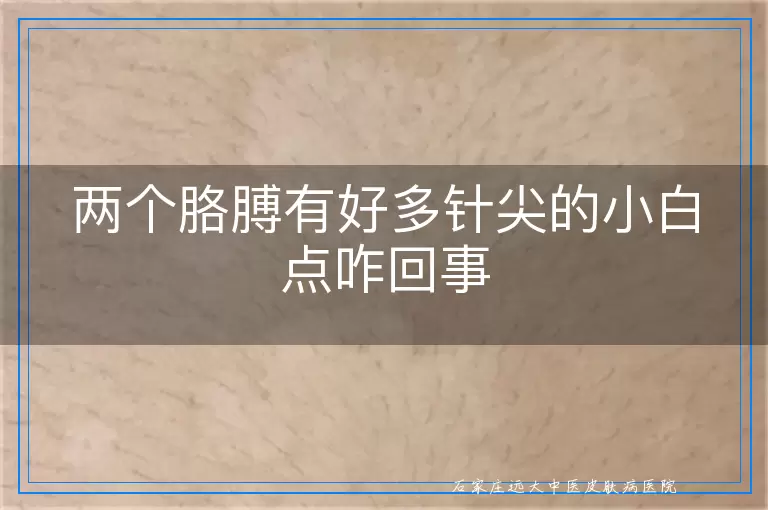 两个胳膊有好多针尖的小白点咋回事