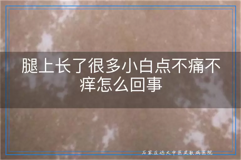 腿上长了很多小白点不痛不痒怎么回事
