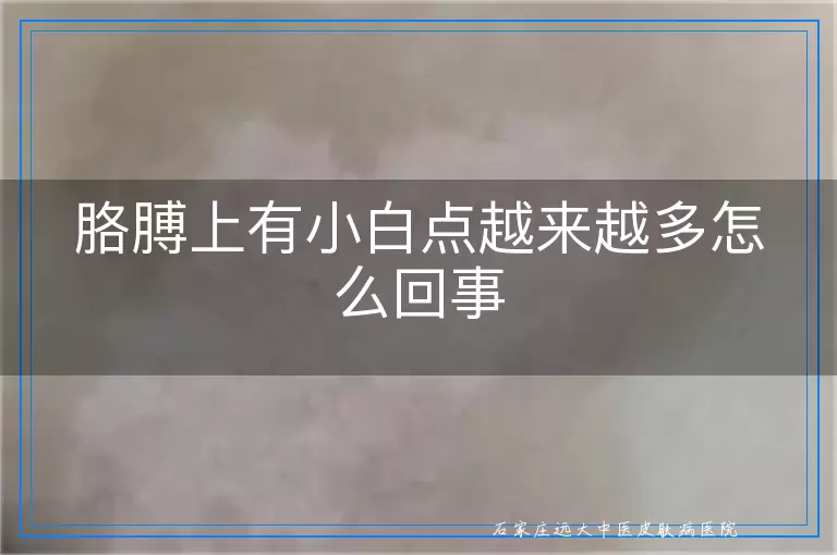 胳膊上有小白点越来越多怎么回事