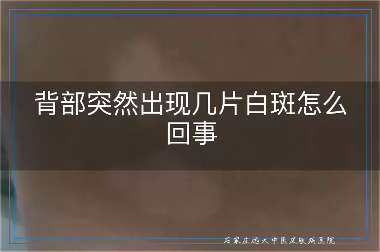 背部突然出现几片白斑怎么回事