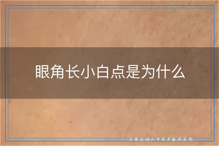 眼角长小白点是为什么