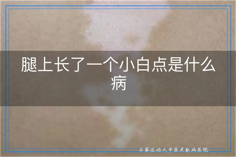 腿上长了一个小白点是什么病