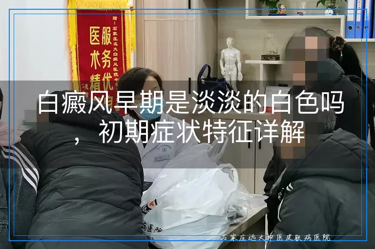 白癜风早期是淡淡的白色吗，初期症状特征详解