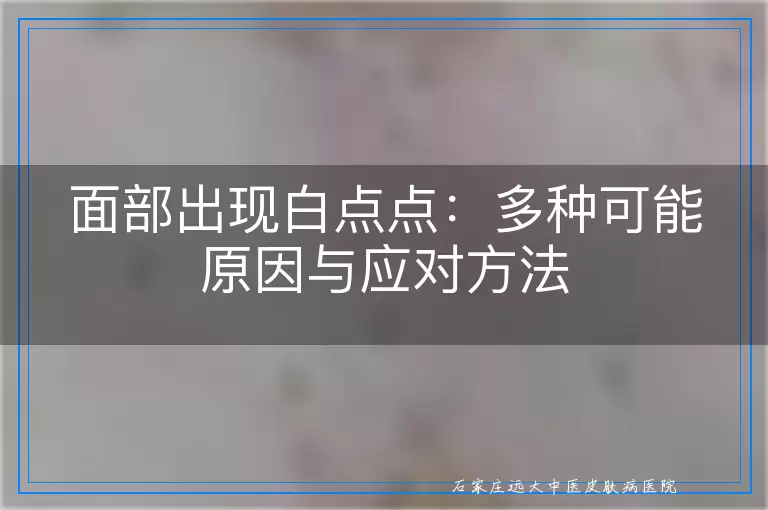 面部出现白点点：多种可能原因与应对方法