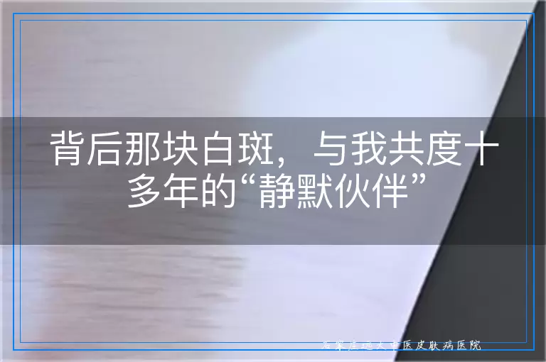 背后那块白斑，与我共度十多年的“静默伙伴”