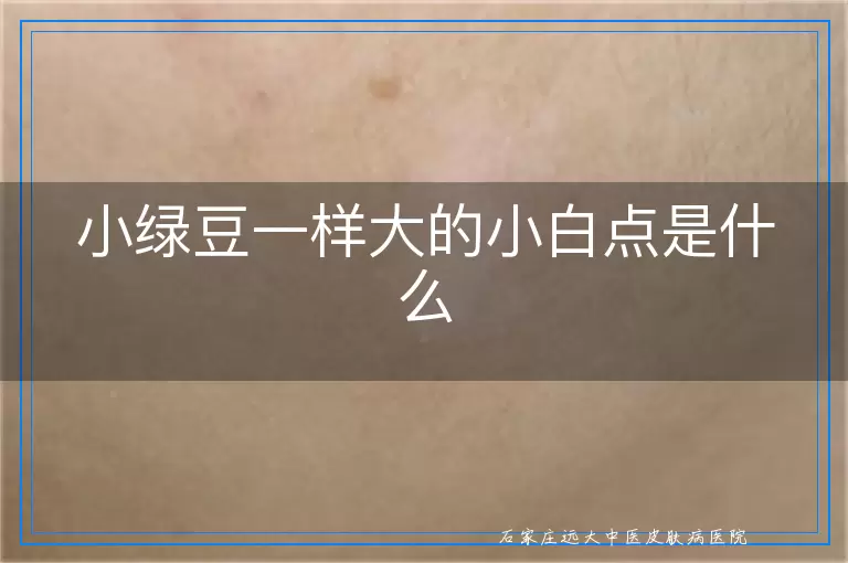小绿豆一样大的小白点是什么
