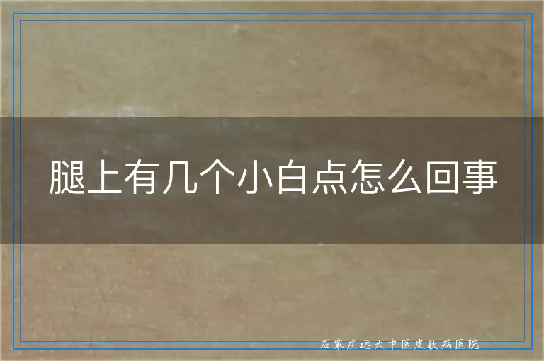 腿上有几个小白点怎么回事