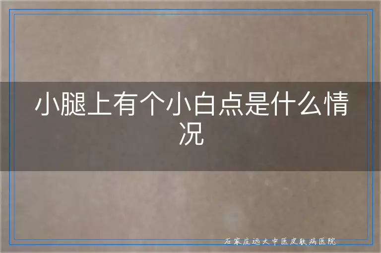 小腿上有个小白点是什么情况