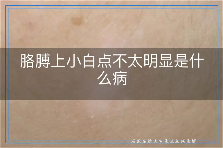 胳膊上小白点不太明显是什么病