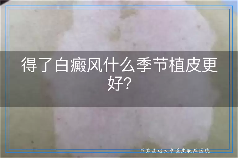 得了白癜风什么季节植皮更好？
