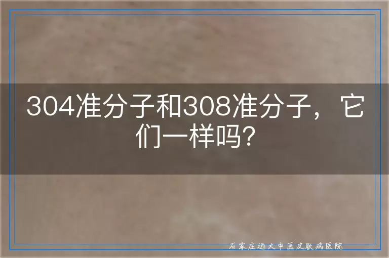304准分子和308准分子，它们一样吗？