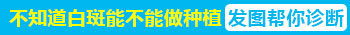 孩子身上有鸡蛋大白斑照308激光2次不见效怎么办